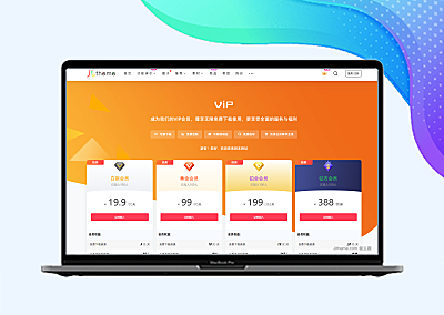 极主题自行更换VIP页面样式
