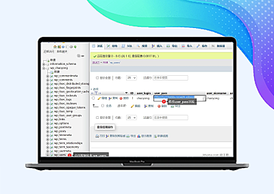 WordPress忘记后台密码，重置登录密码方法