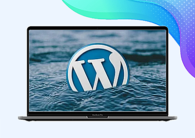 WP插件的一个实例代码！