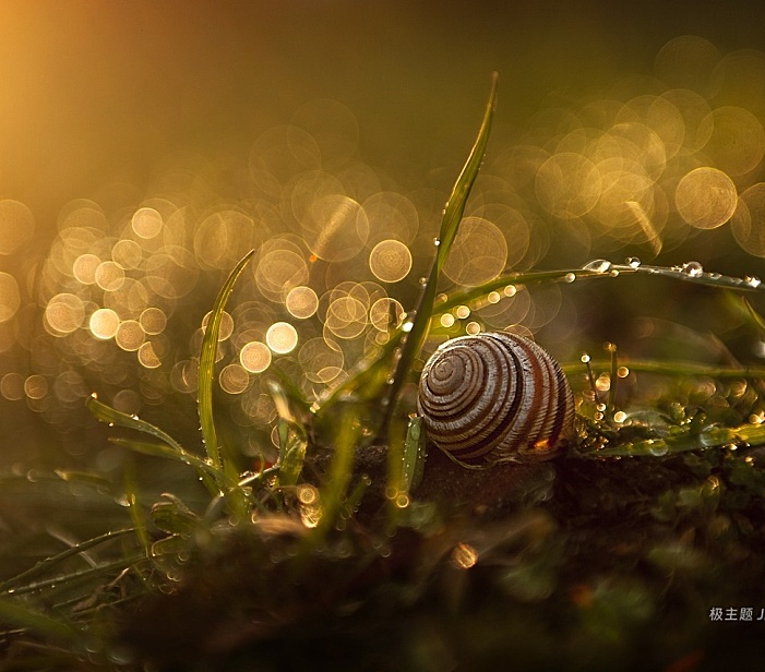 文章游客评论测试